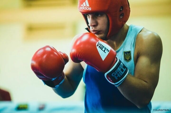  43813173  , 28 ,    --