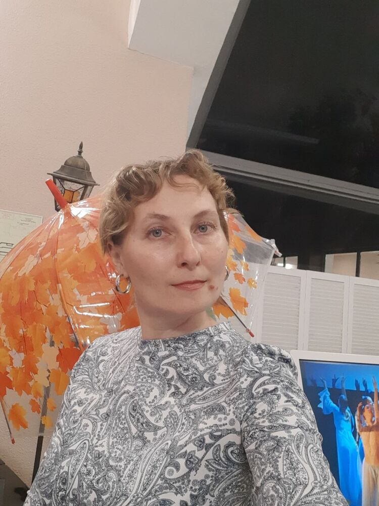  54295953  , 43 ,    -