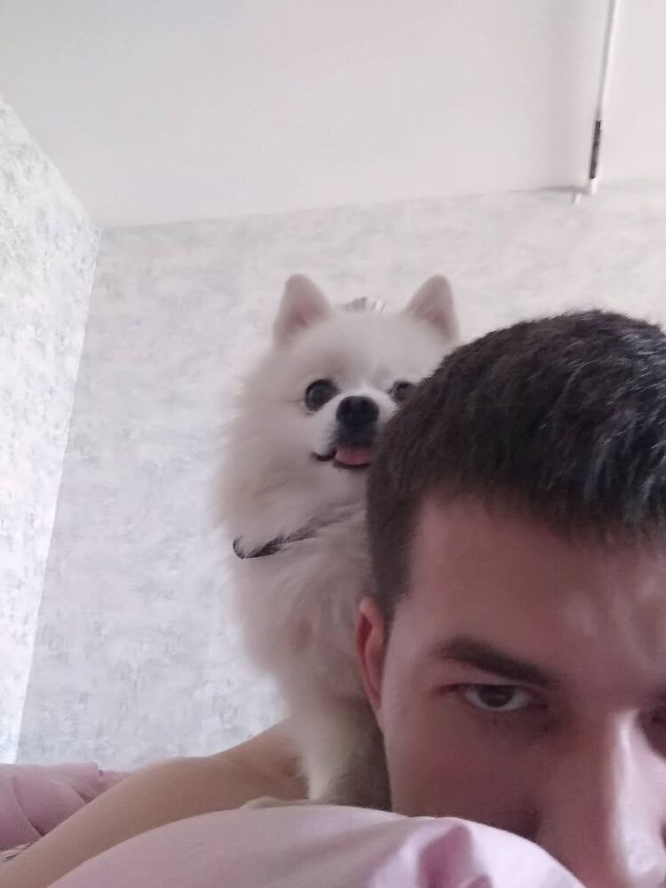 ���������� ������, ���� ������� ����, 35 ���, ������������ ��� ������, ����� � ���������, c�������� ���������