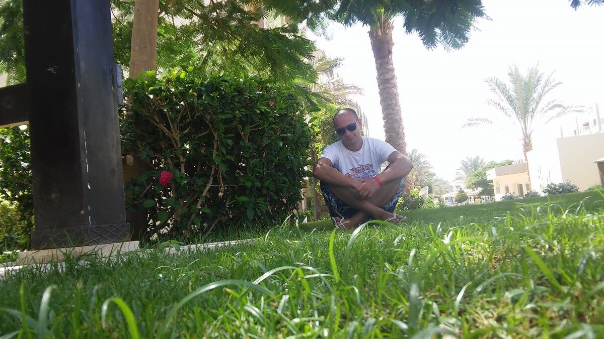 ���� 11004853 ������� ������, 37 ���, ���� ���������� � ������