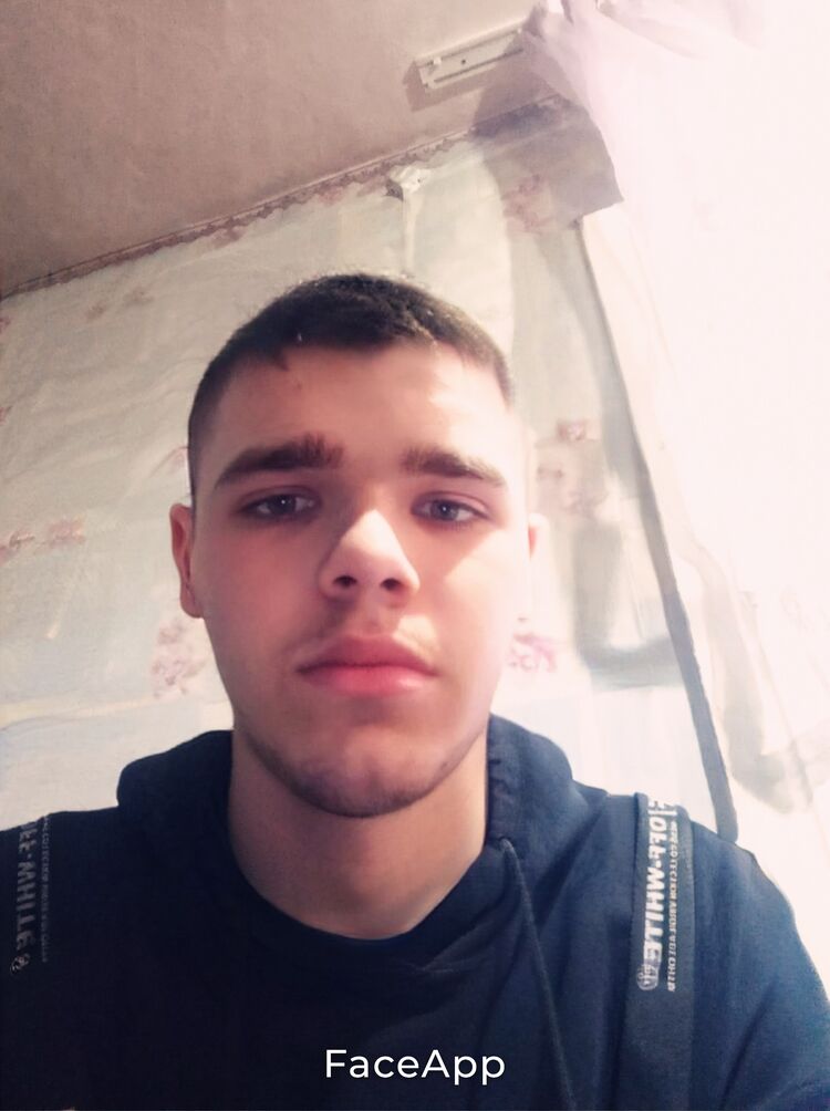  42067073  , 29 ,    -