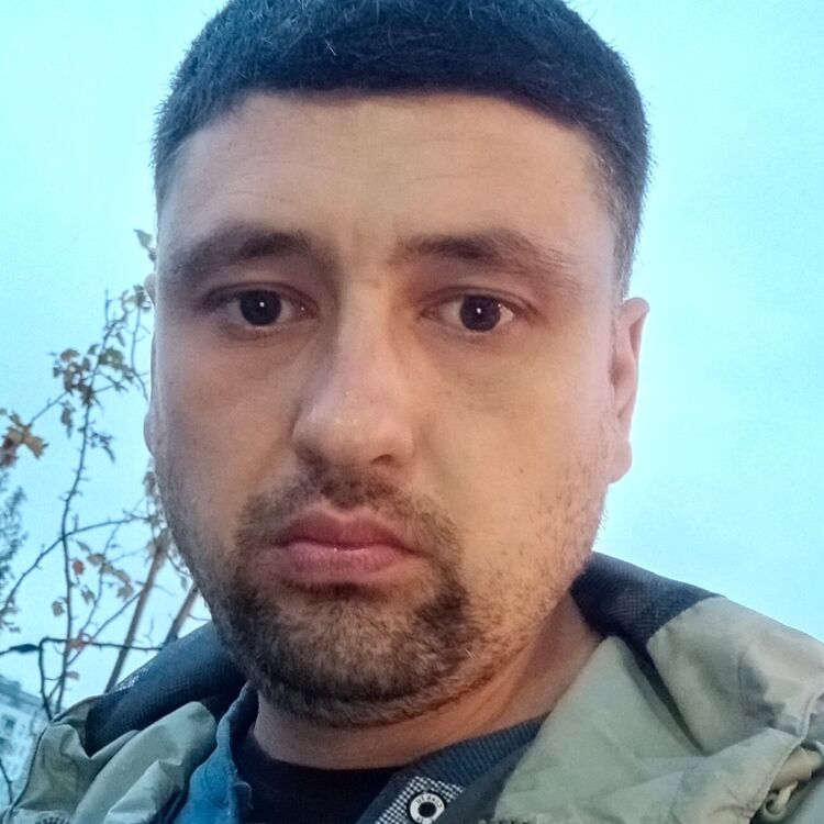  43133113  , 36 ,    