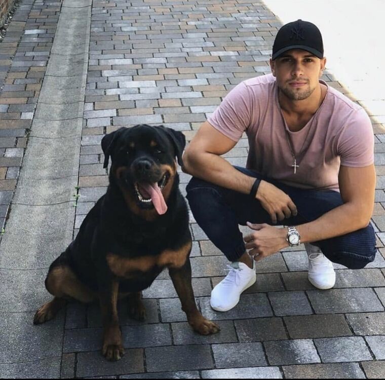 ���������� �����������, ���� ������� �����, 36 ���, ������������ ��� ������, ����� � ���������, c�������� ���������, ���������