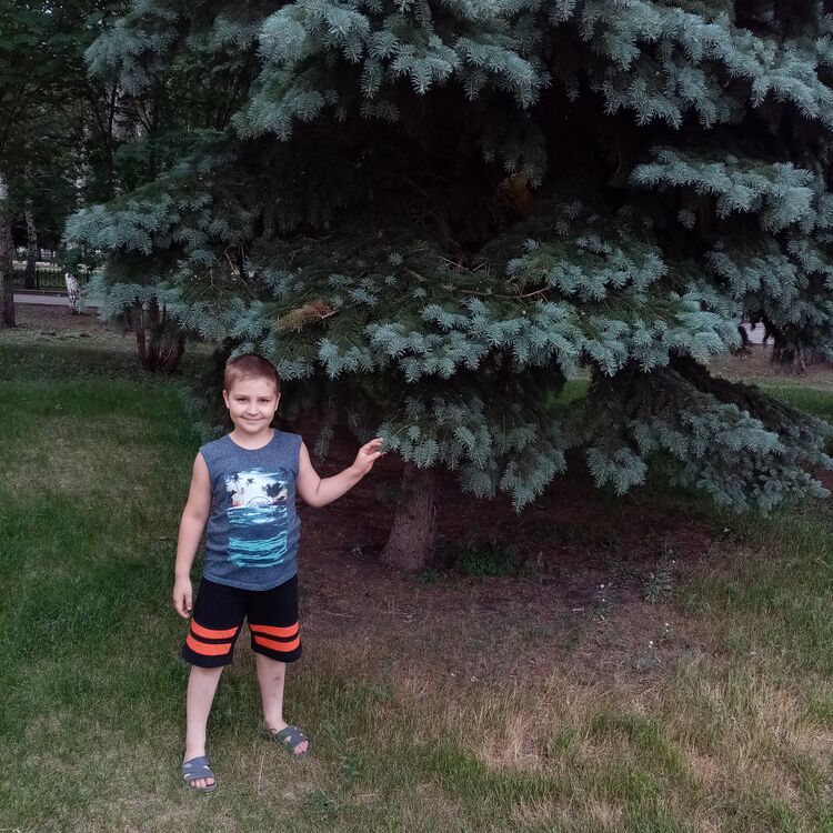 ���� 23134513 ������� �����, 38 ���, ���� ���������� � ������������