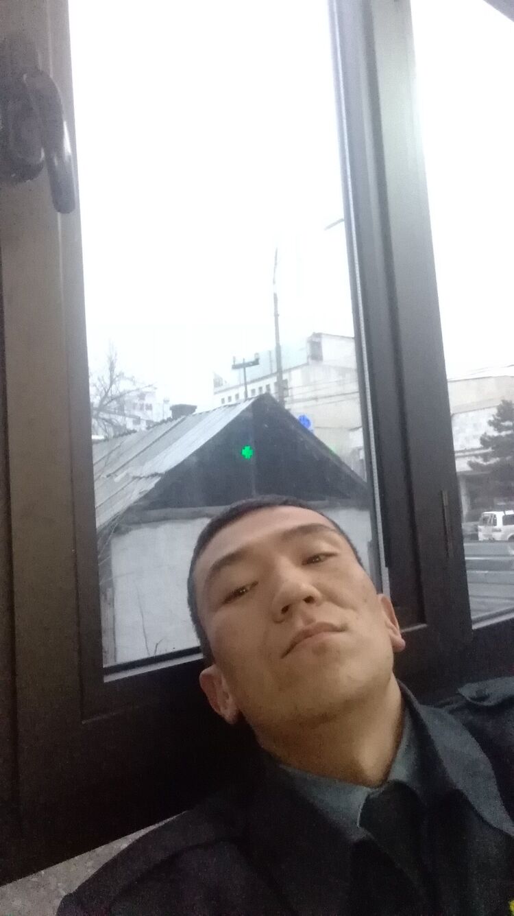 ���� 22683613 ������� �����, 38 ���, ���� ���������� � �������