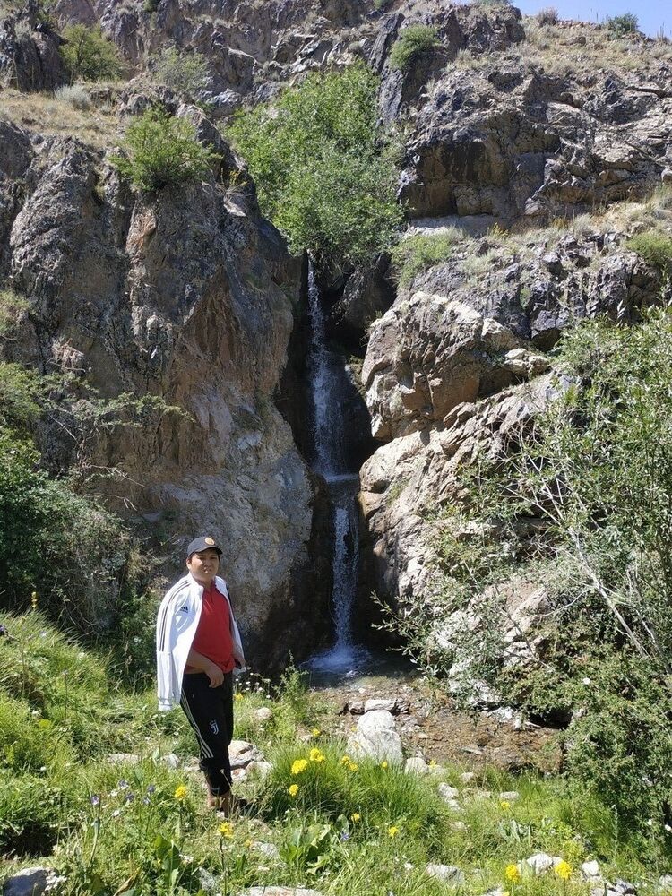 ���� 17275063 ������� ������, 31 ���, ���� ���������� � �������