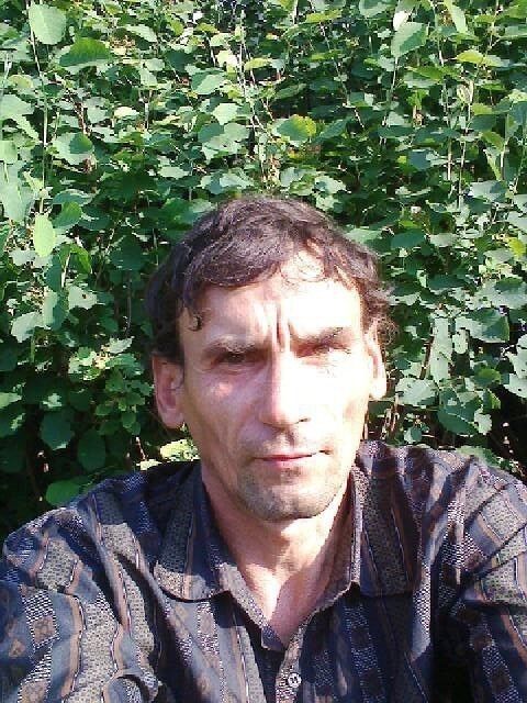 ���� 17146853 ������� ���������, 48 ���, ���� ���������� � ��������������