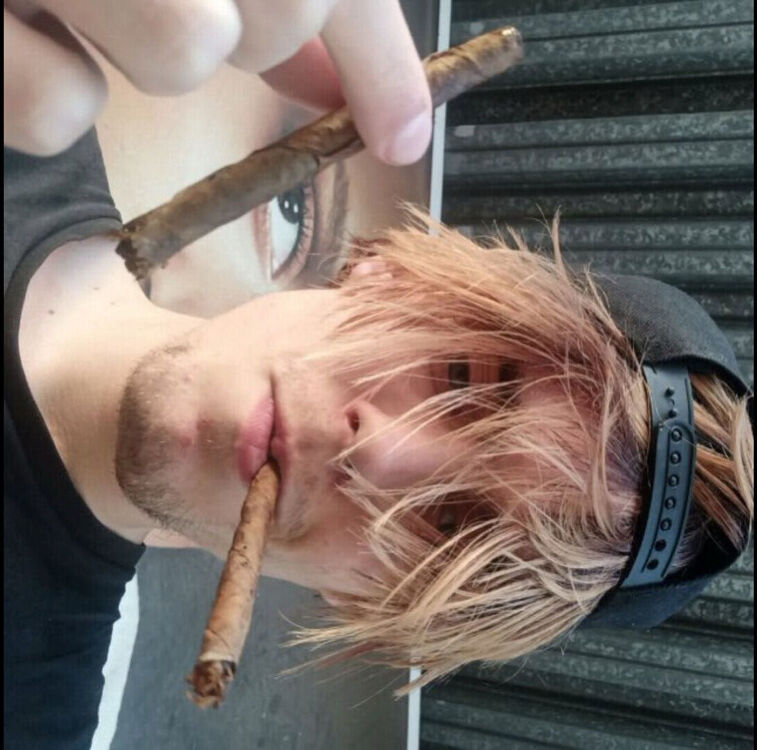 ���� 55179933 ����� ����, 23 ����, ���� ���������� � ����������