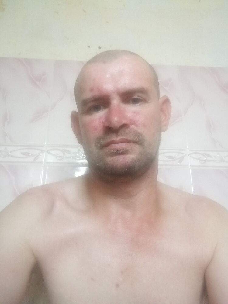  53083163  , 41 ,    