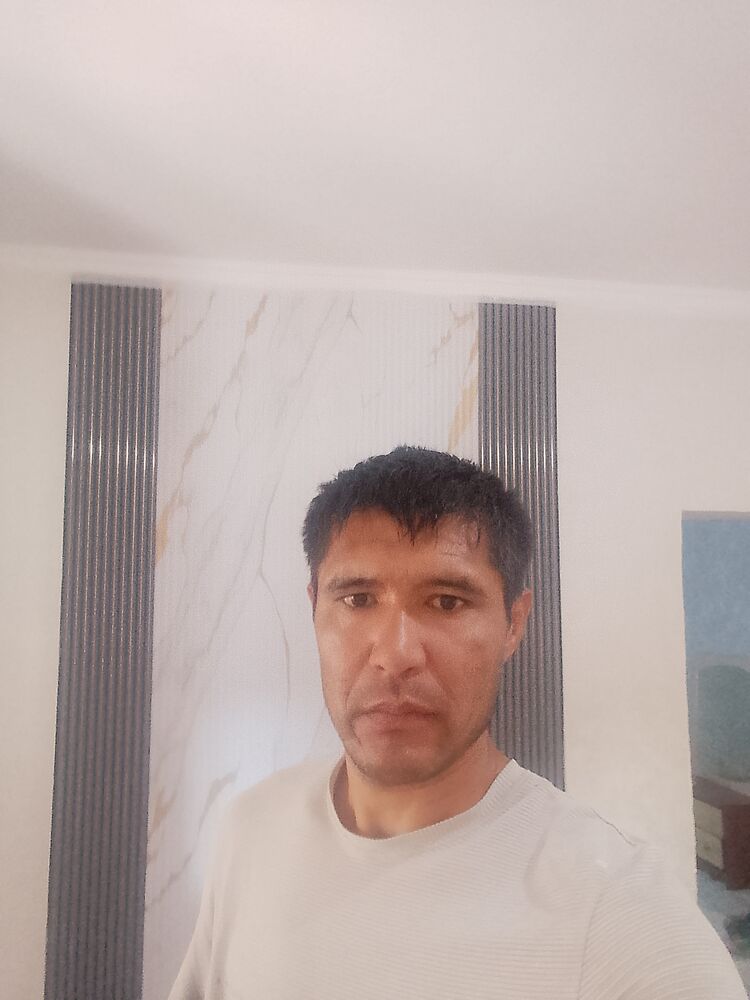  49827963  , 41 ,    