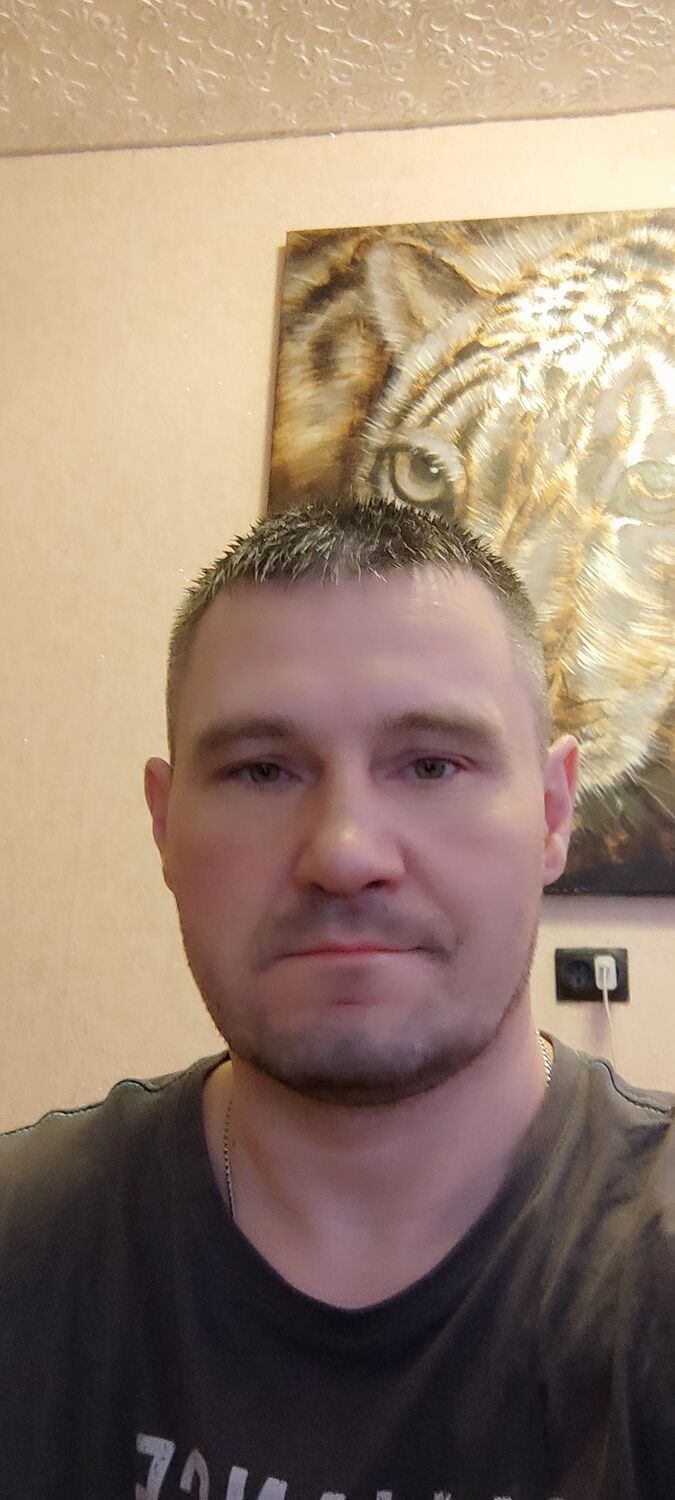  43044453  , 46 ,    