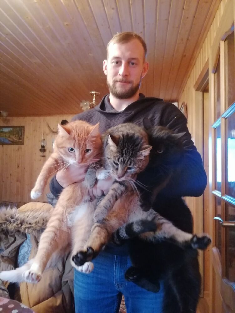 ���������� ����, ���� ������� ���������, 31 ���, ������������ ��� ������, ����� � ���������, ���������