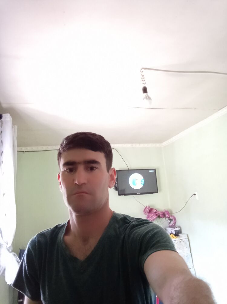 ���� 33972453 ������� �����, 29 ���, ���� ���������� � ���������