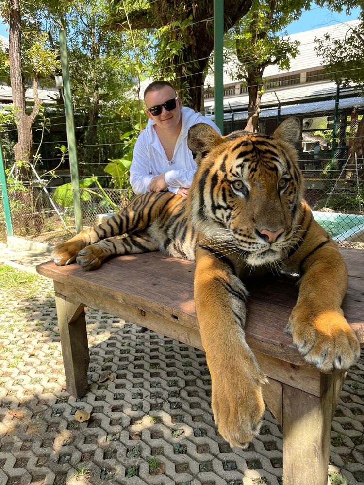 ���� 35021403 ������� �������, 43 ����, ���� ���������� � �������������