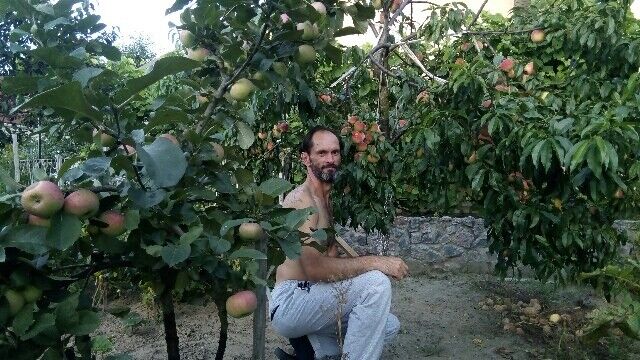 ���� 13272693 ������� ������, 45 ���, ���� ���������� � ������