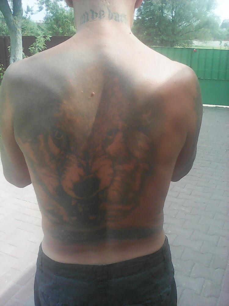  ,   , 56 ,   