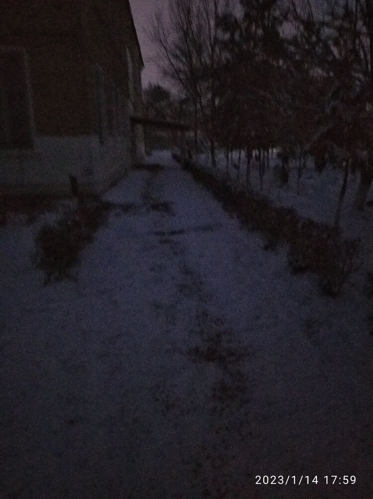 ���� 31908183 ������� Odil, 27 ���, ���� ���������� � ��������