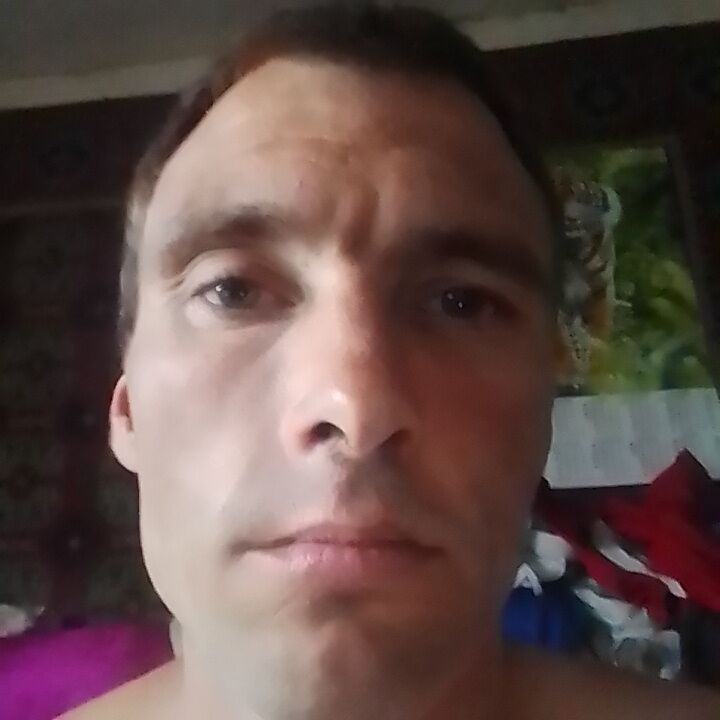  28270653  , 36 ,    