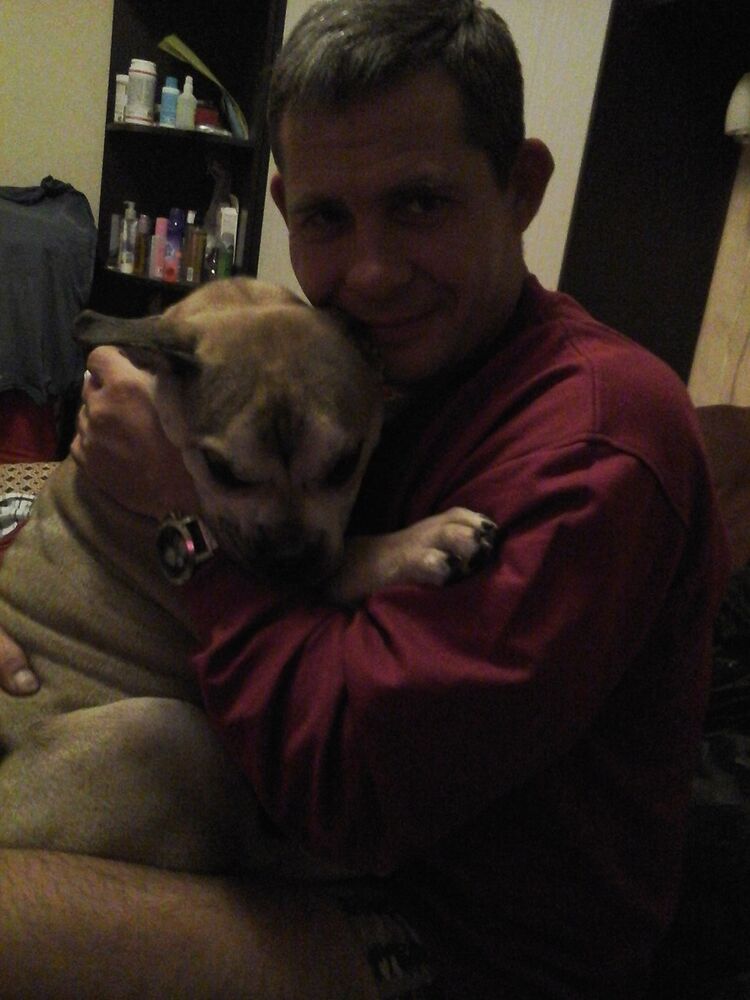 ���� 11597803 ������� �������, 52 ����, ���� ���������� � ������