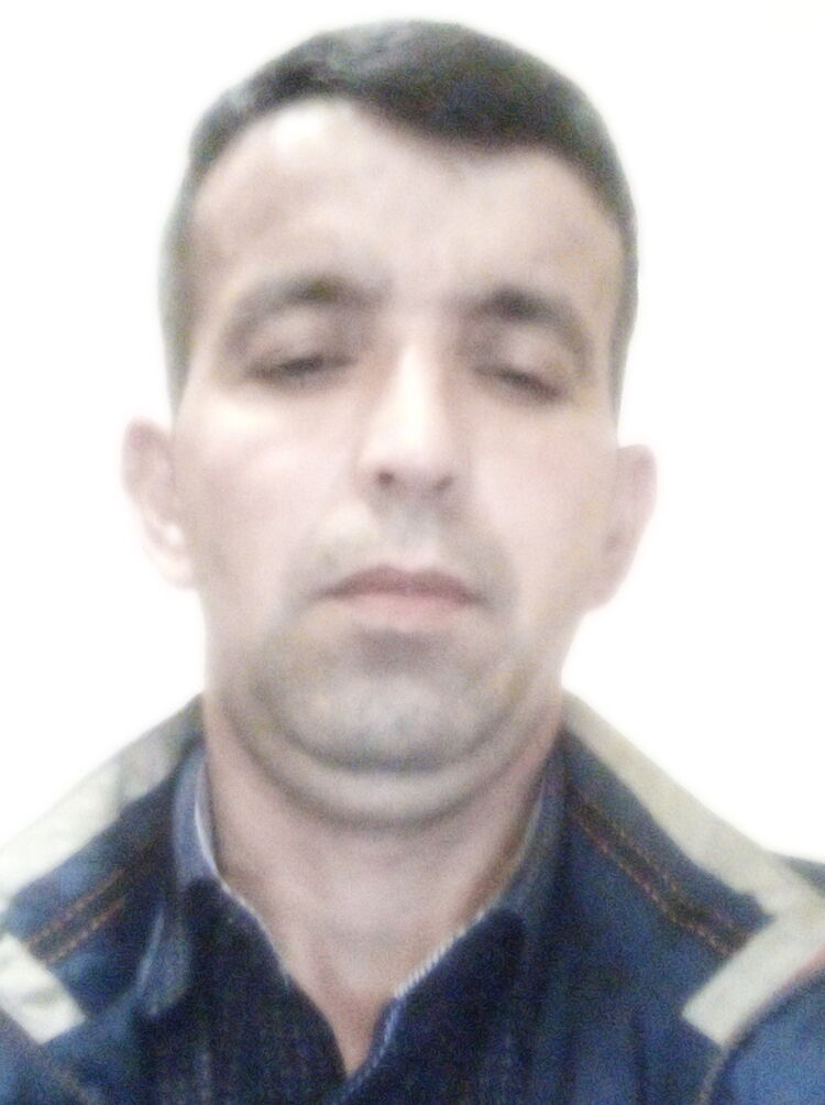  31168693  , 42 ,    