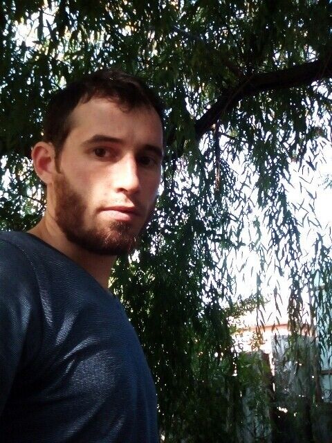  ,   , 38 ,   