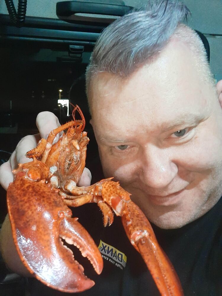 ���� 56078983 ������� Ainars, 46 ���, ���� ���������� � ����