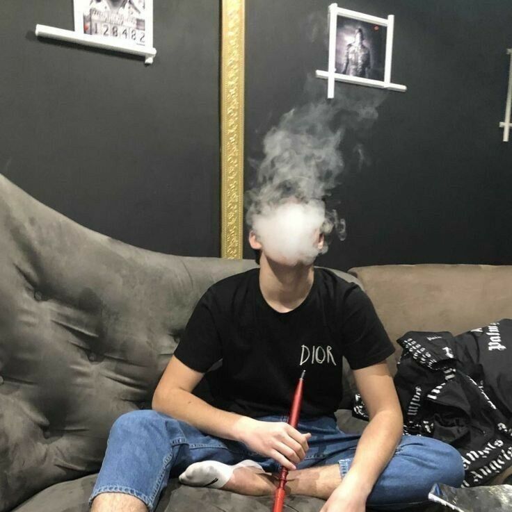  36358723  , 31 ,    