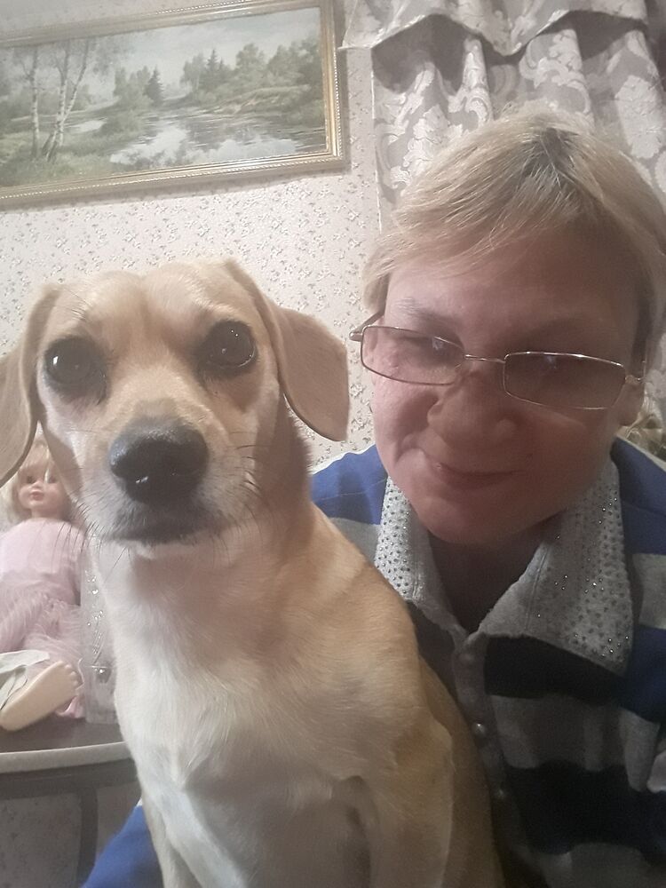  ,   , 55 ,   ,   