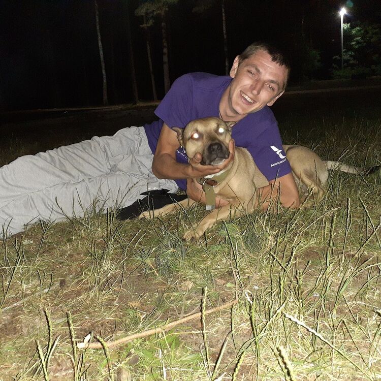 ���� 17233793 ������� ����, 33 ����, ���� ���������� � ������