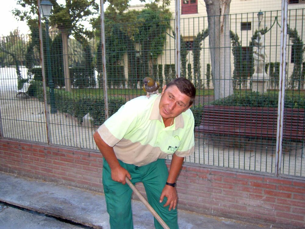  23465623  Valeriy, 64 ,    
