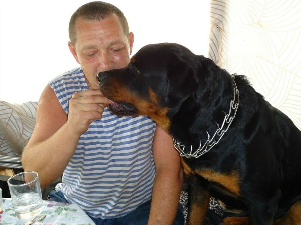 ���������� ����������, ���� ������� �������, 56 ���, ������������ ��� ������, ����� � ���������, c�������� ���������