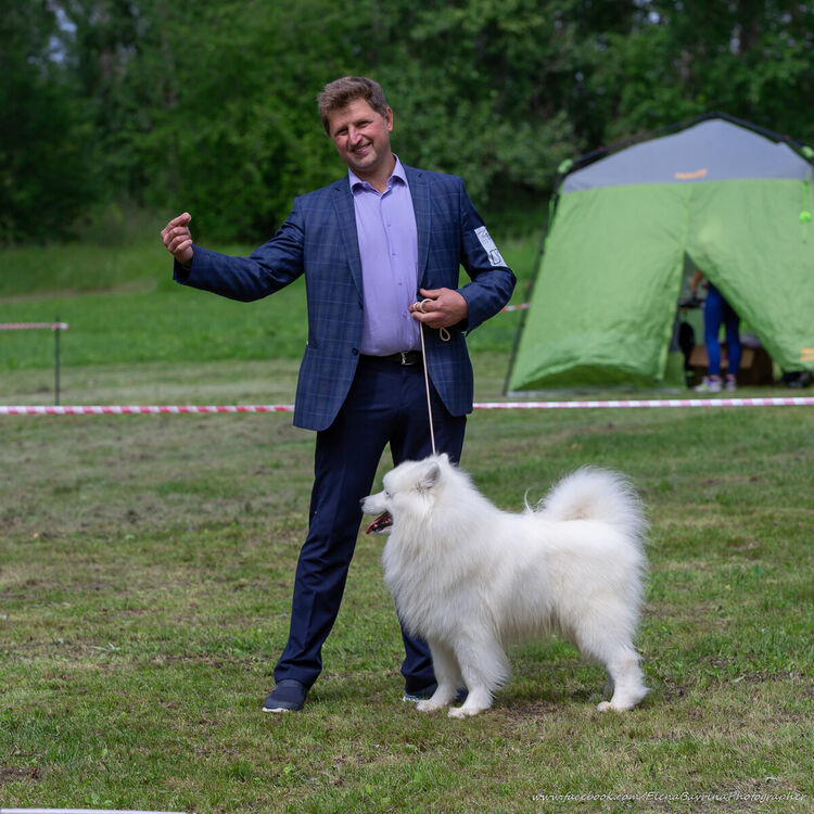 ���� 20471213 ������� �������, 50 ���, ���� ���������� � �����������