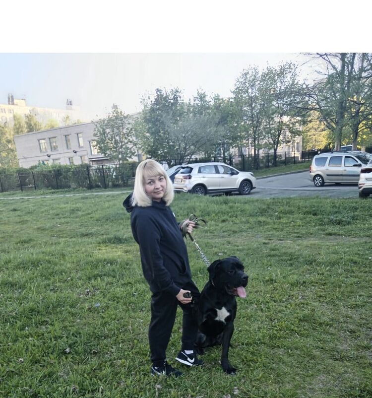 ���������� �����-���������, ���� ������� ����, 47 ���, ������������ ��� c�������� ���������