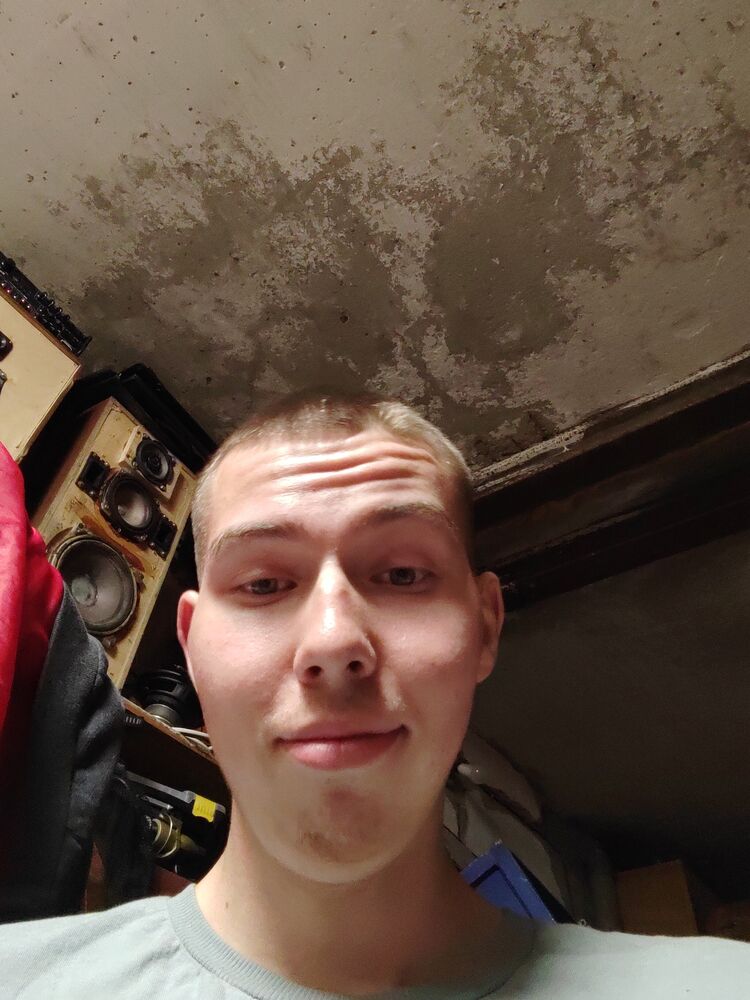  44361313  , 32 ,    