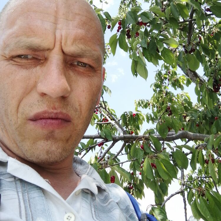 ���� 34651603 ������� ����, 45 ���, ���� ���������� � ��������