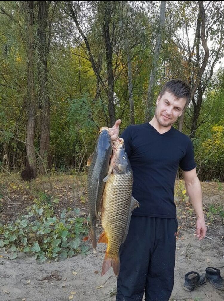 ���������� ���������, ���� ������� �������, 43 ����, ������������ ��� ������, ����� � ���������, c�������� ���������, ���������