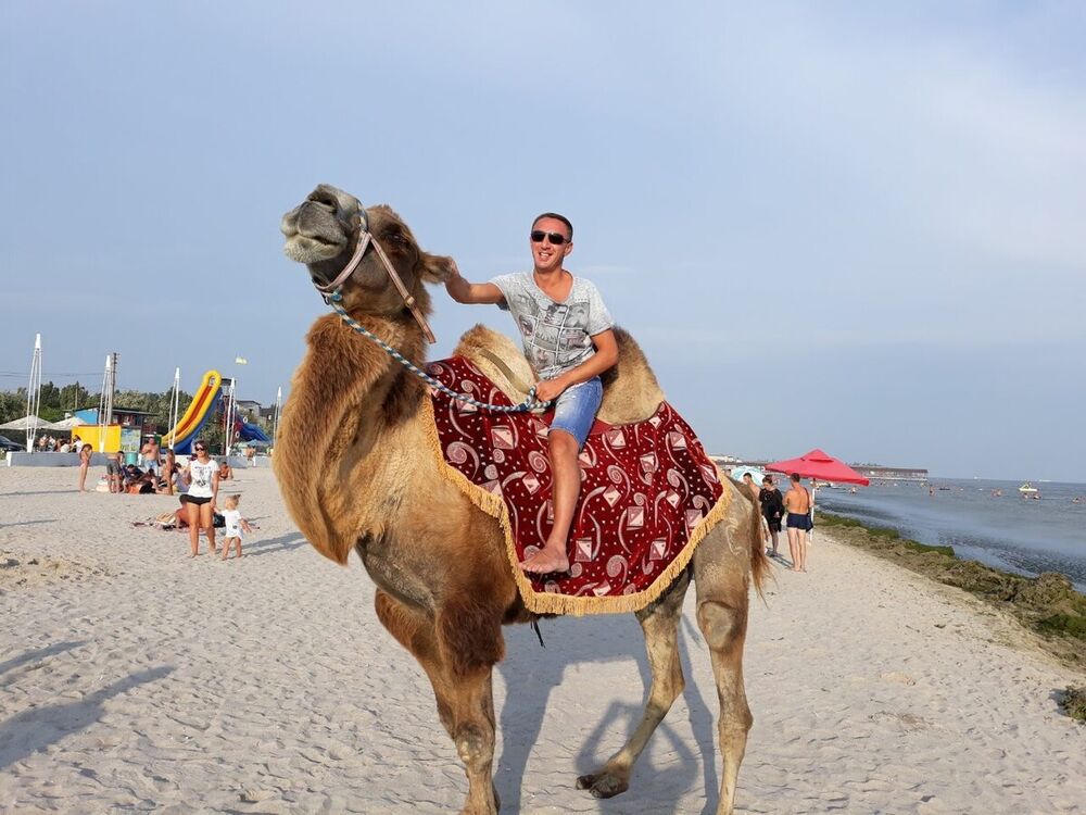 ���������� ����, ���� ������� �����, 49 ���, ������������ ��� ������, ����� � ���������, c�������� ���������