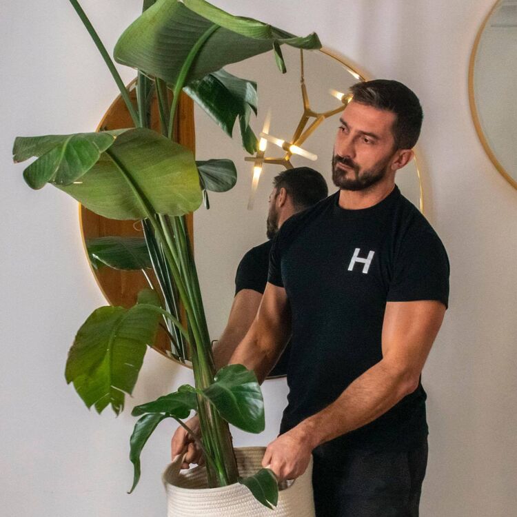 ���� 54810003 ������� ������, 35 ���, ���� ���������� � ������