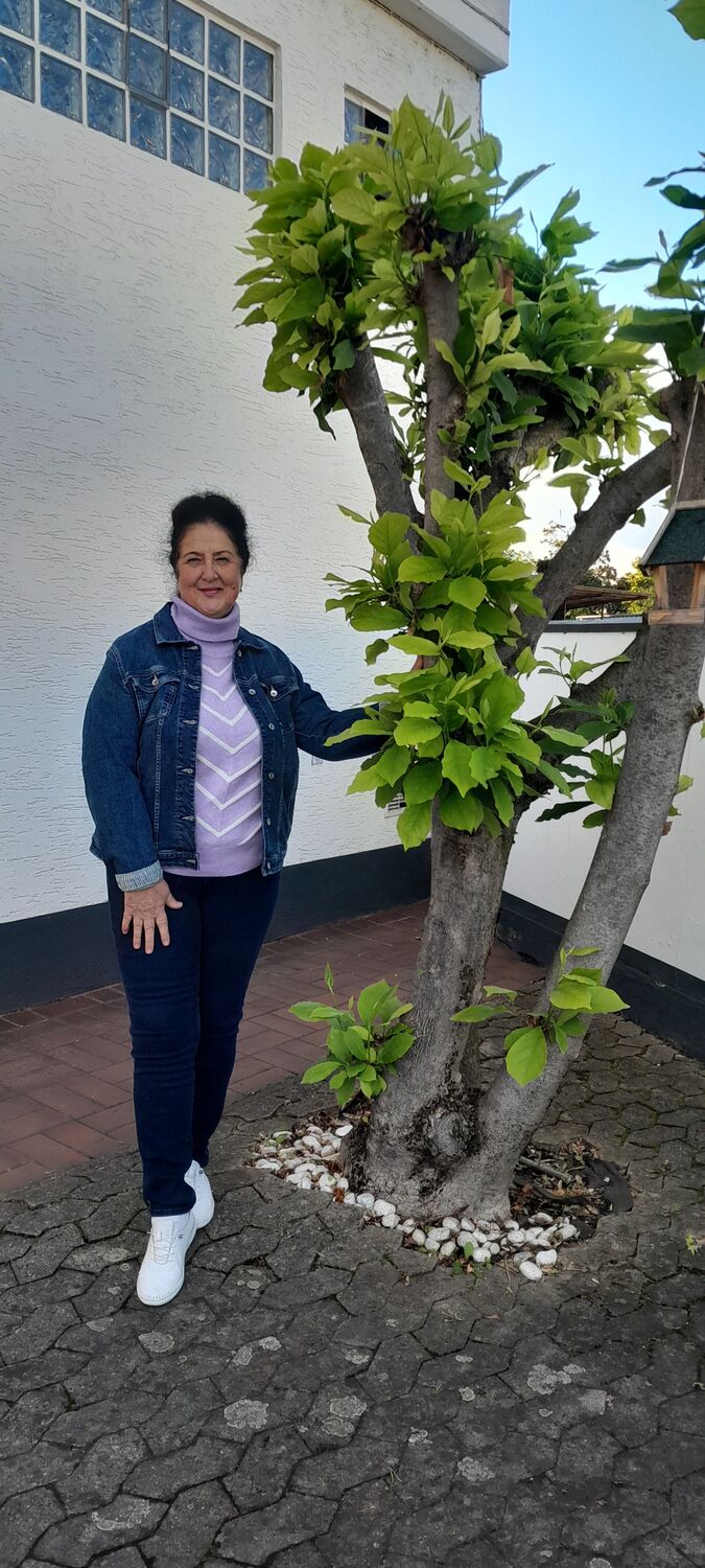 ���������� �������, ���� ������� ������, 70 ���, ������������ ��� c�������� ���������, ���������