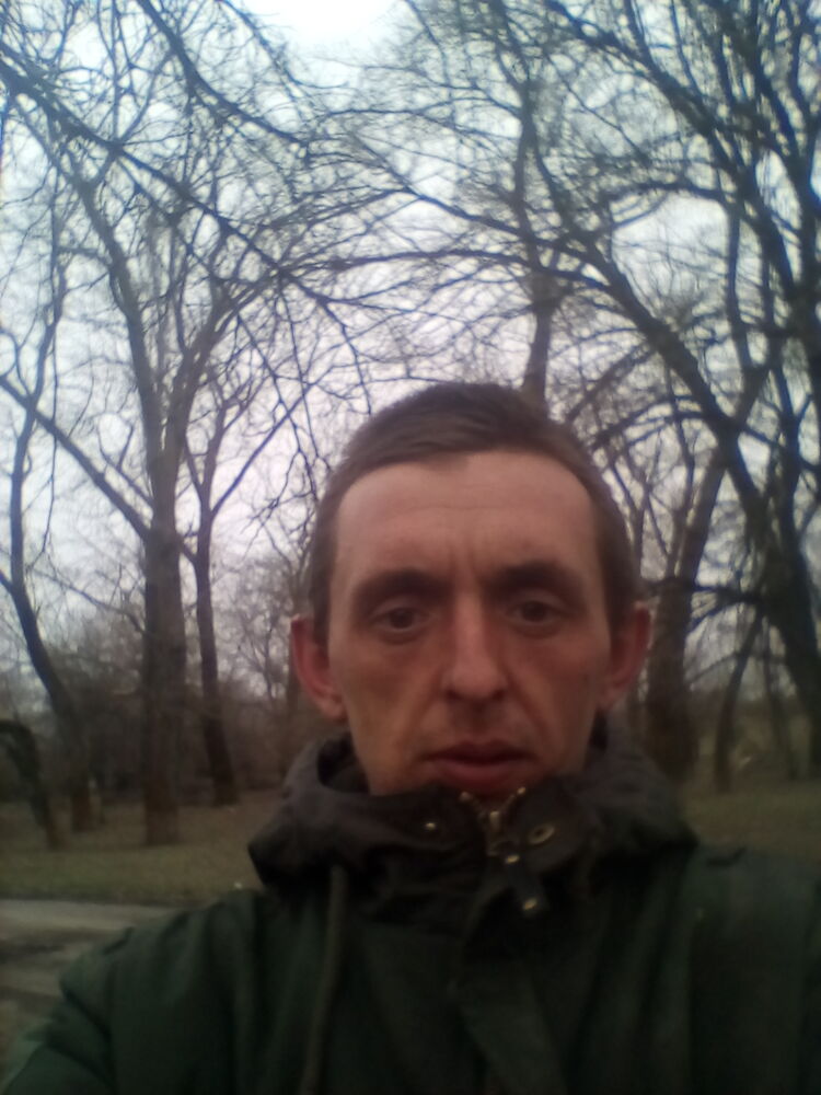  41527363  , 31 ,    