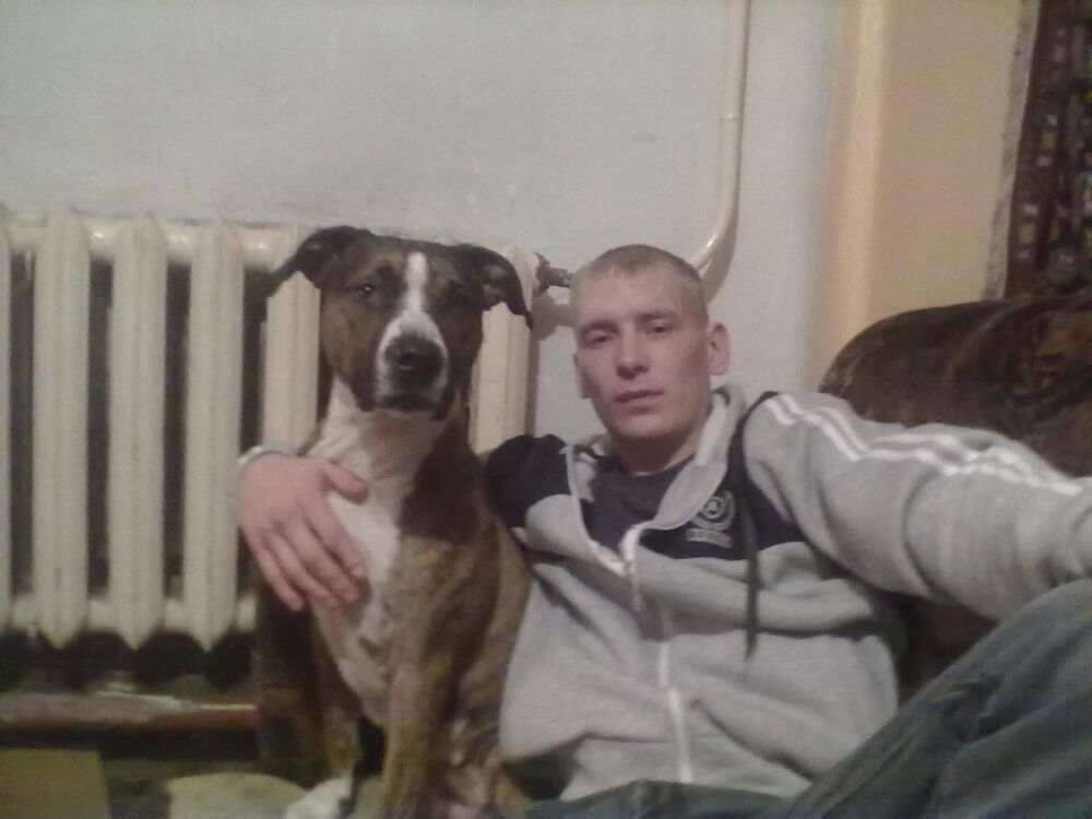 ���� 25310753 ������� �����, 38 ���, ���� ���������� � ���������