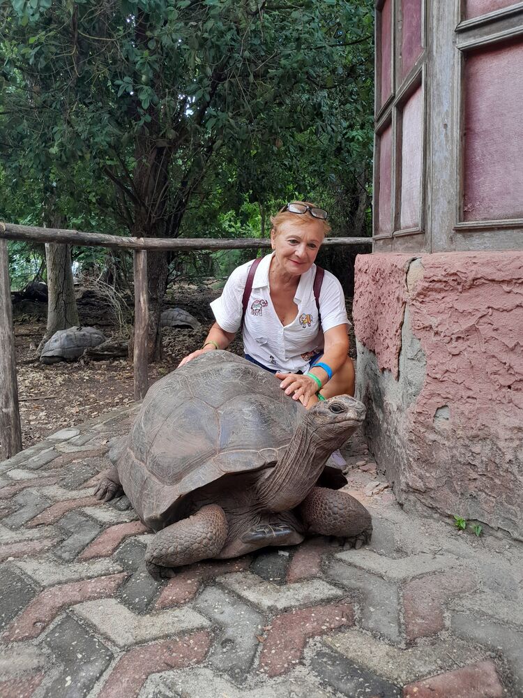 ���������� ����, ���� ������� ����, 60 ���, ������������ ��� ������, ����� � ���������, c�������� ���������