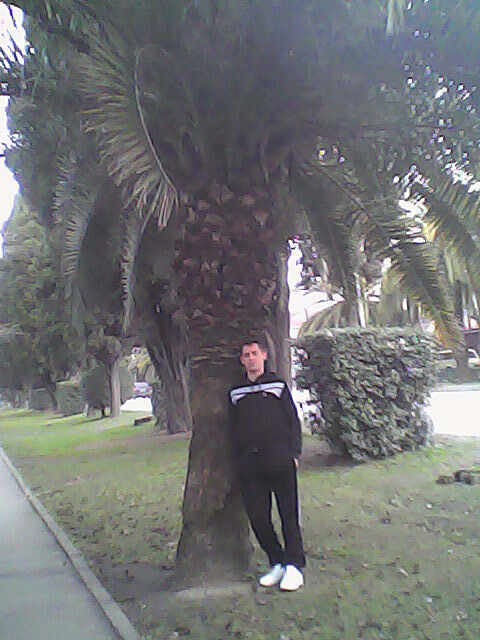 ���������� ���������, ���� ������� ���������, 38 ���, ������������ ��� ������, ����� � ���������, c�������� ���������, ���������