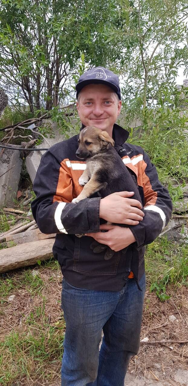 ���� 41769423 ������� ��������, 38 ���, ���� ���������� � �������