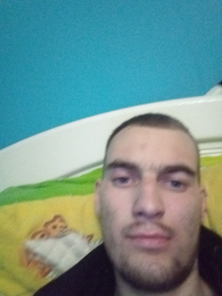  39095303  , 24 ,    -
