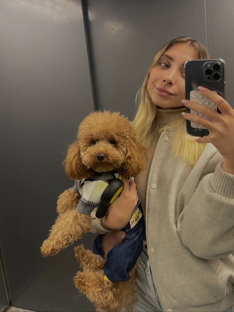 ���������� �������, ���� ������� ��������, 28 ���, ������������ ��� ������, ����� � ���������