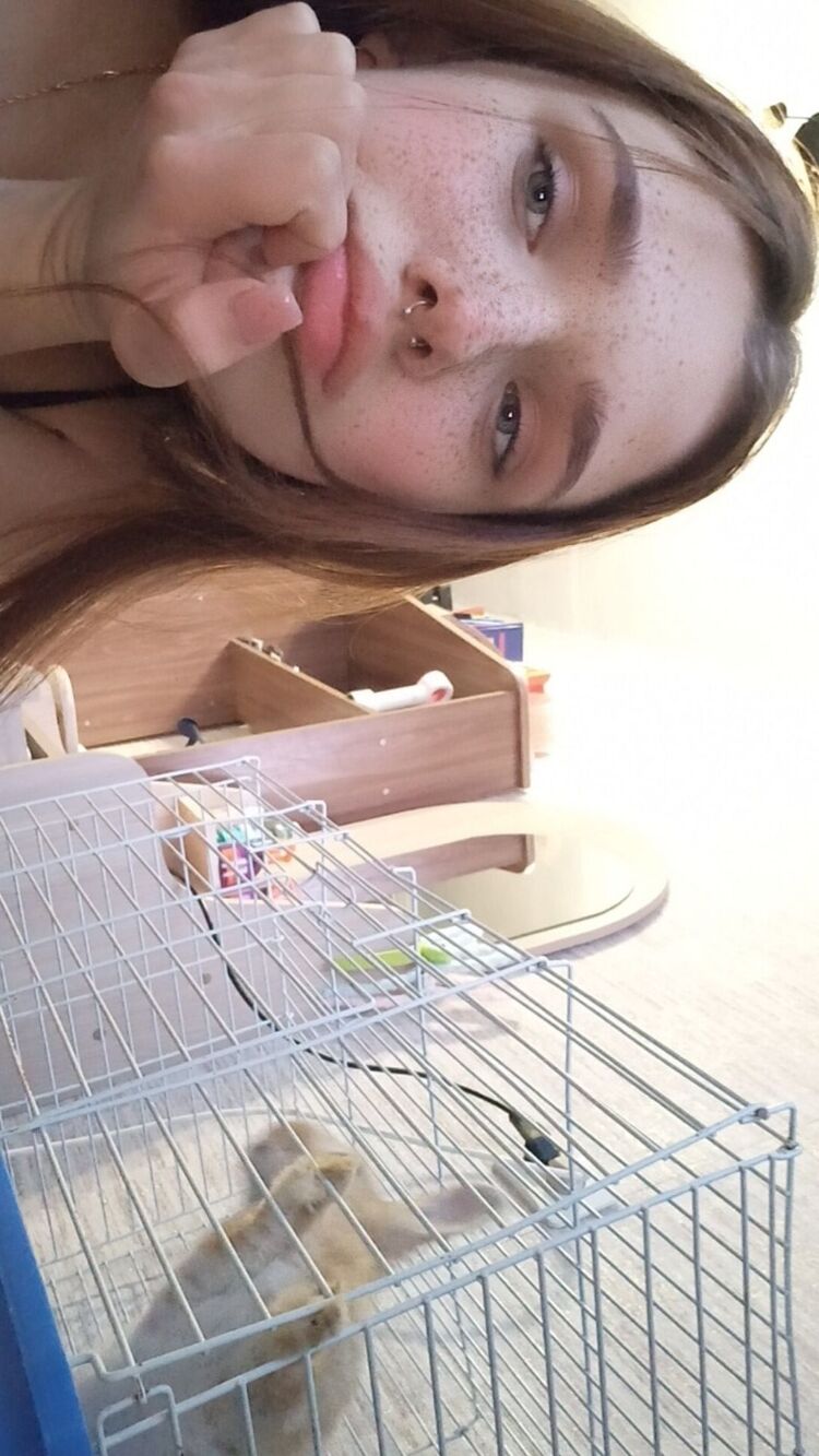 ���������� ���������, ���� ������� ��������, 21 ���, ������������ ��� ������, ����� � ���������