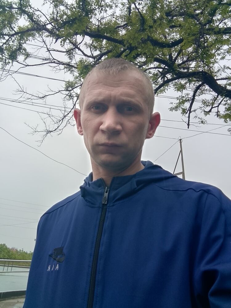  43931843  , 37 ,    