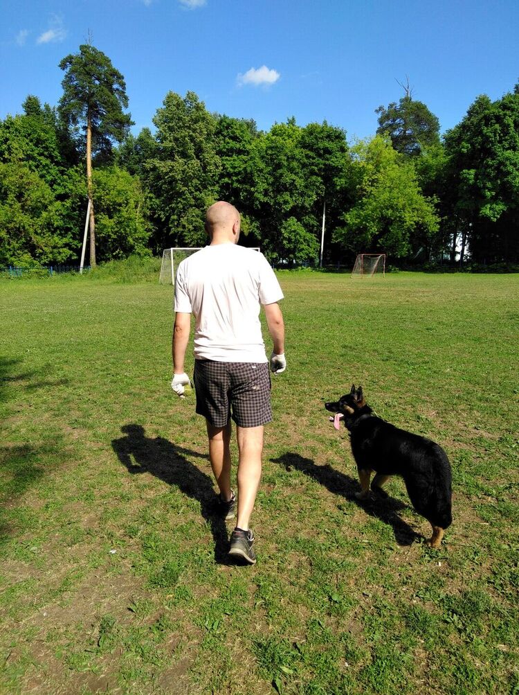 ���������� ������, ���� ������� �������, 38 ���, ������������ ��� ������, ����� � ���������