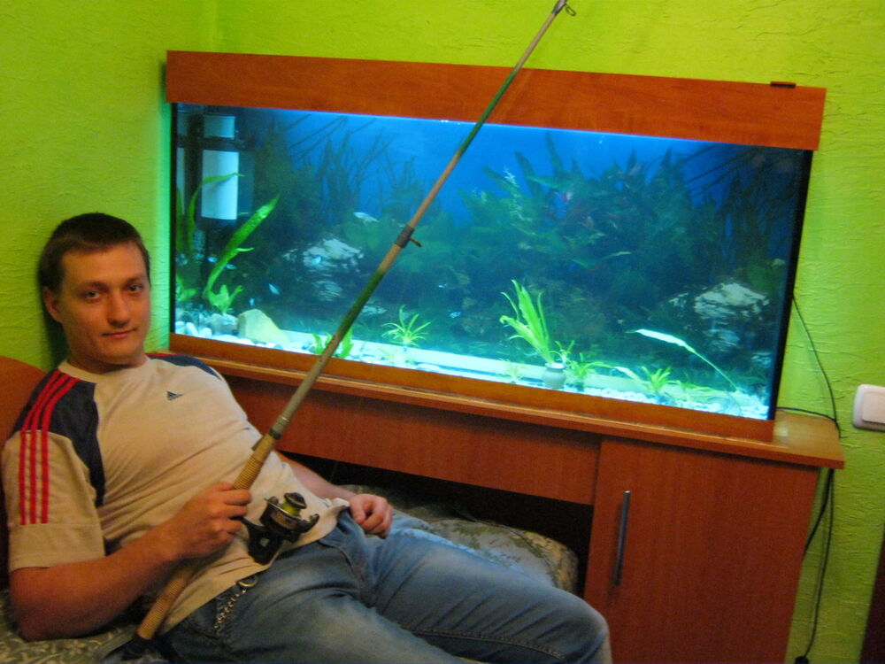 ���������� ������-��-����, ���� ������� �������, 38 ���, ������������ ��� ������, ����� � ���������, c�������� ���������